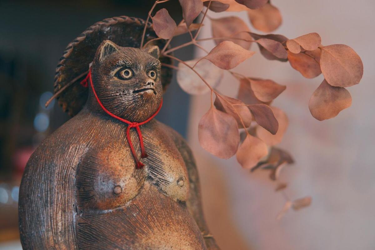 宿たぬきのねどこ Guesthouse Tanuki Тюбу Экстерьер фото